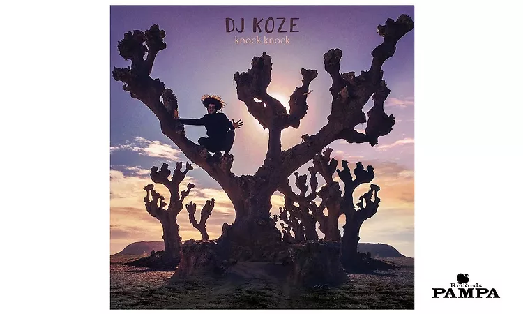 Dj Koze - Illumination feat. Roi?si?n Murphy