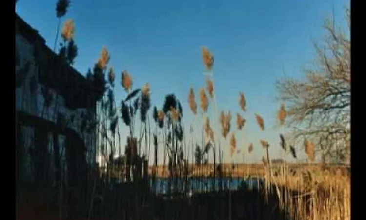 The Cinematic Orchestra - Breathe (ft. Fontella Bass)