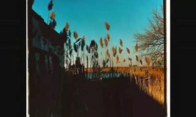 The Cinematic Orchestra - Child Song
