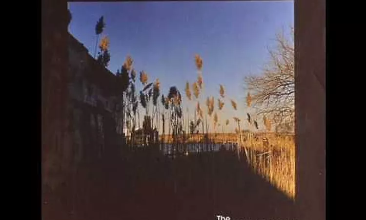 The Cinematic Orchestra - Time And Space (feat. Lou Rhodes)
