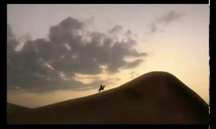 S?bastien Tellier - Roche (Official Video)