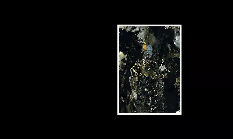 Neud Photo -- OVID