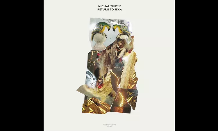 Michal Turtle - Feel The Pain