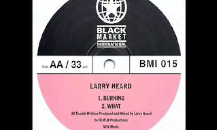 Larry Heard - Burning 4 Love