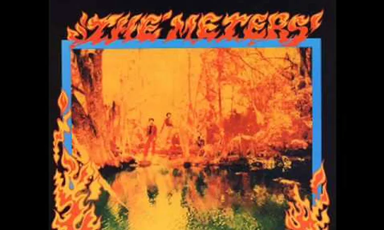 The Meters - Love Slip Upon Ya