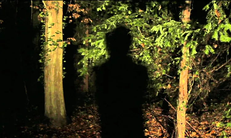 Nick Cave & The Bad Seeds - We No Who U R