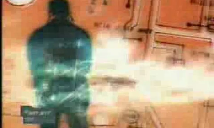 Dr.Octagon - Blue Flowers
