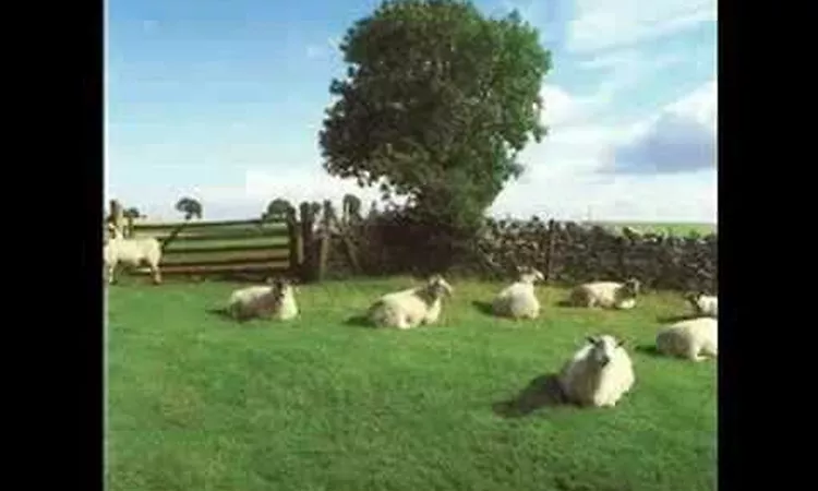 The KLF - Wichita Lineman Was a Song I Once Heard