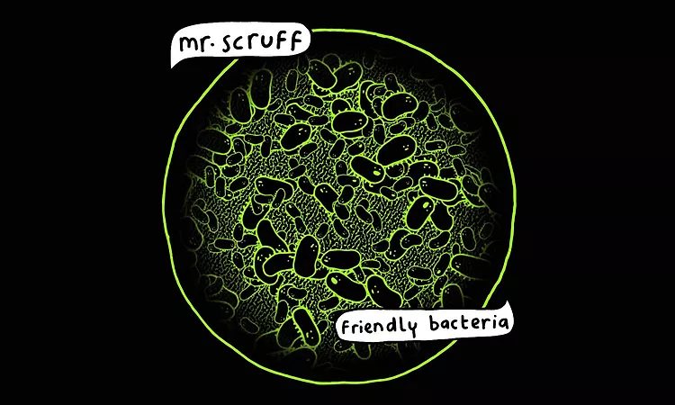 Mr Scruff - Come Find Me (feat. Vanessa Freeman)