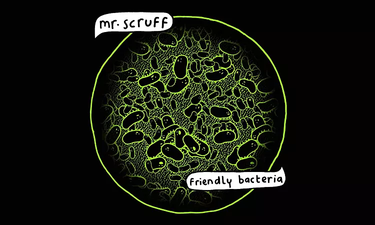 Mr Scruff - Catch Sound (feat. Denis Jones)