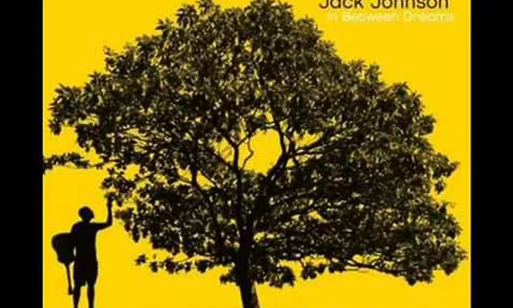 Jack Johnson  Staple it Together