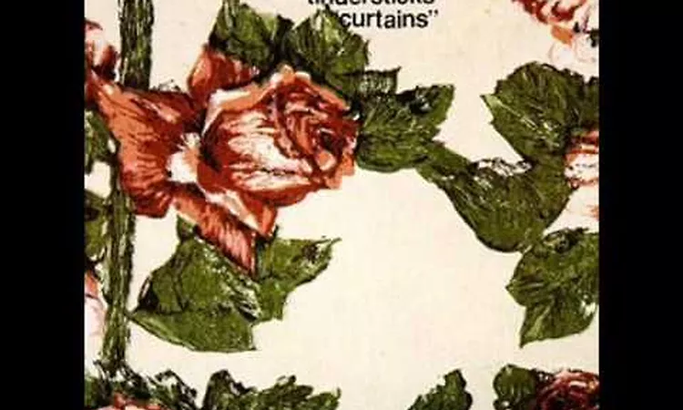Tindersticks - Don't Look Down