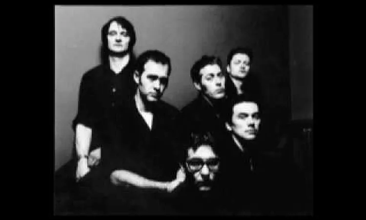 Tindersticks  - Bearsuit