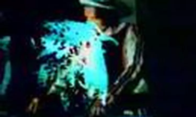 The Prodigy - Charly (Official Video)