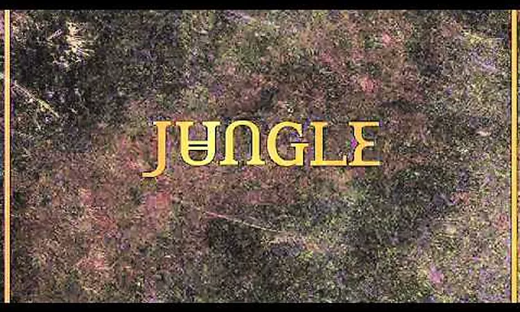 JUNGLE - ACCELERATE