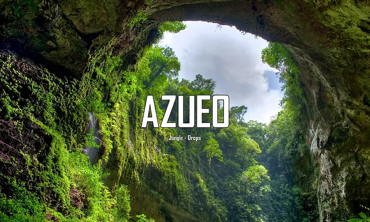 Jungle - Drops