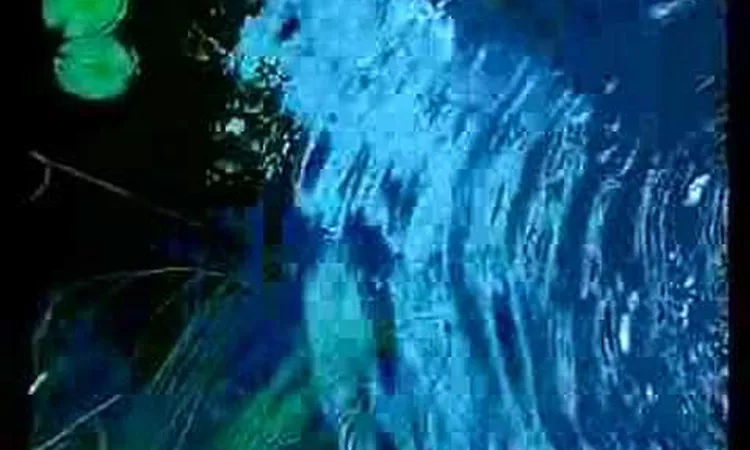 Holger Czukay - Cool in the pool