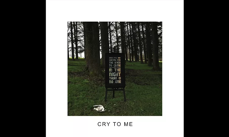 IDLES - CRY TO ME Official Audio)