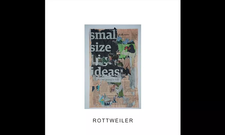 IDLES - ROTTWEILER (Official Audio)
