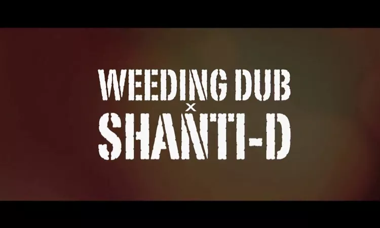 Weeding Dub - Can't Understand feat. Shanti D