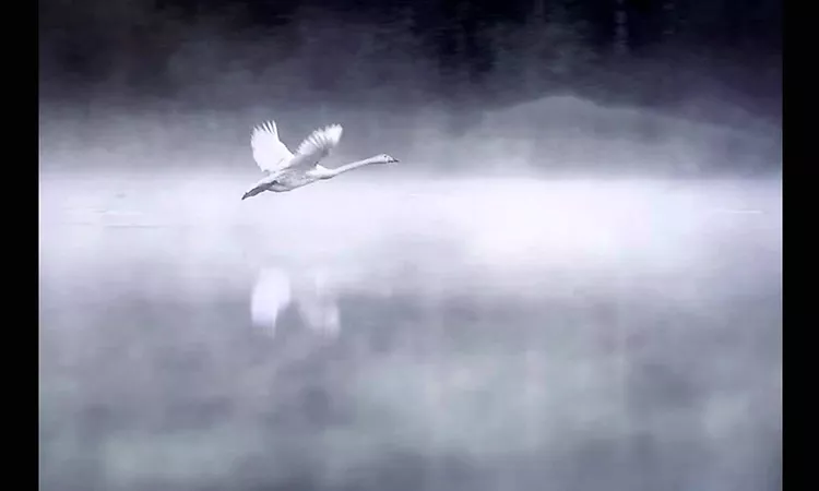 Tindersticks-I Know That Loving