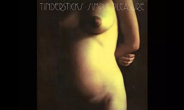Tindersticks -- (You're A) Pussycat