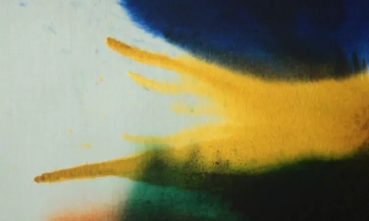 Fleet Foxes - Third of May / ?daigahara (Lyric Video)