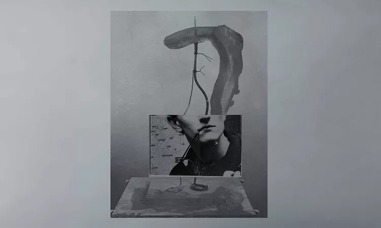 Sebastian Gandera - Chryse?le?phantines