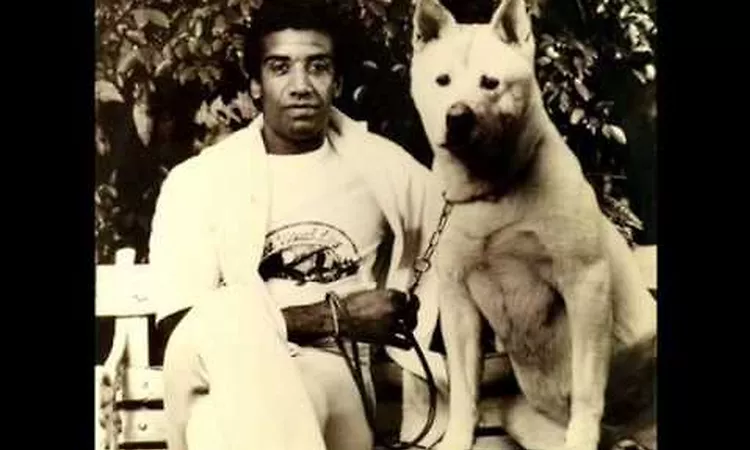 Jorge Ben Jor -- O Dia Que O Sol Declarou O Sue Amor Pela Terra