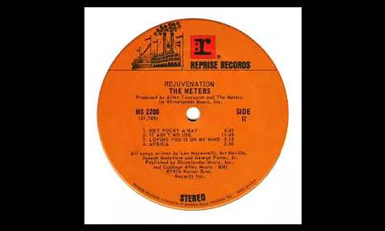 THE METERS - IT AIN'T NO USE (MS 2200)