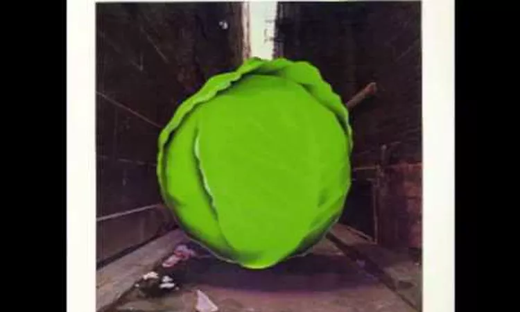 The Meters - Birds