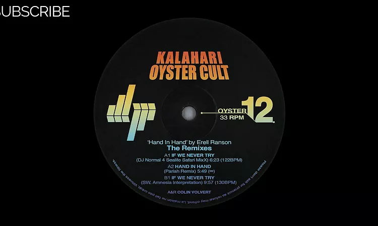 Erell Ranson - If We Never Try (DJ Normal 4 Sealife Safari MixX)
