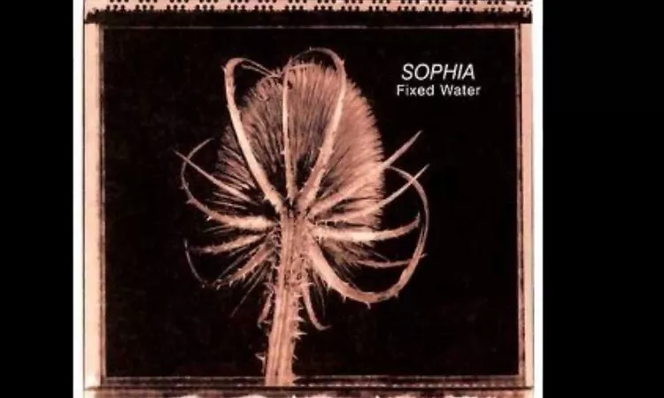 Sophia - Are You Happy Now