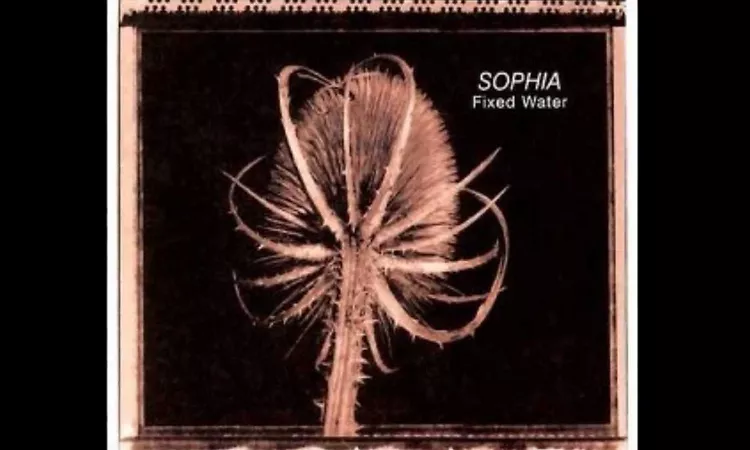 Sophia - So Slow