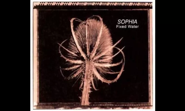 Sophia - Last Night I Had a Dream