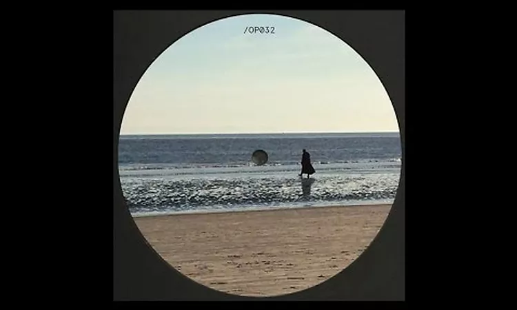 Nicolas Jaar - Swim / Mistress