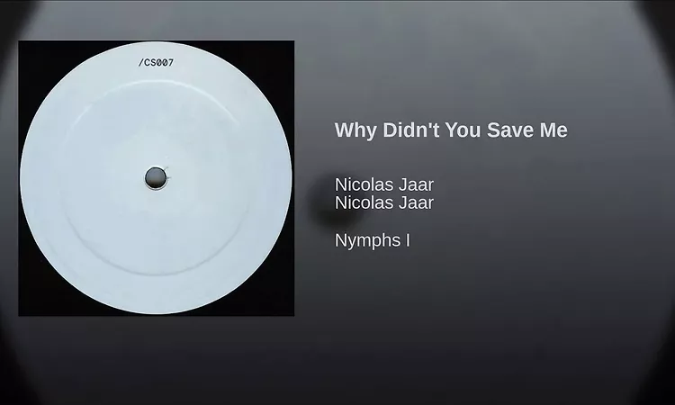 Why Didn't You Save Me