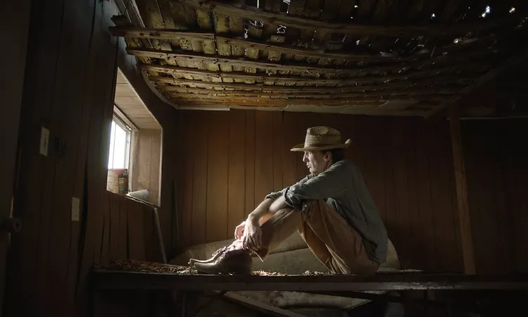 Deerhunter - Death in Midsummer (Official Video)