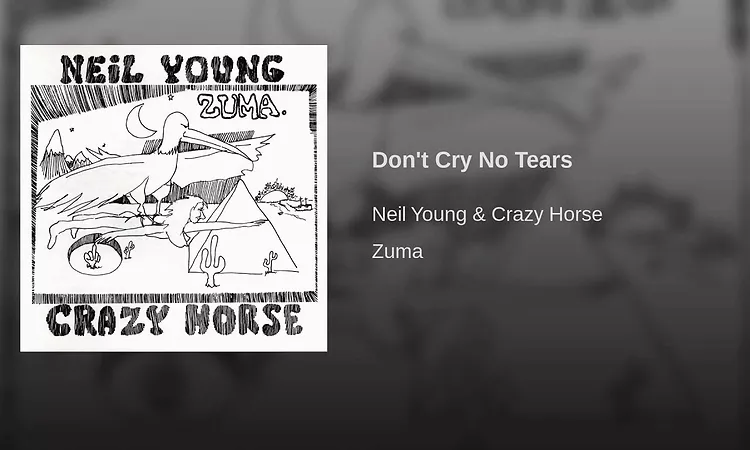 Don't Cry No Tears