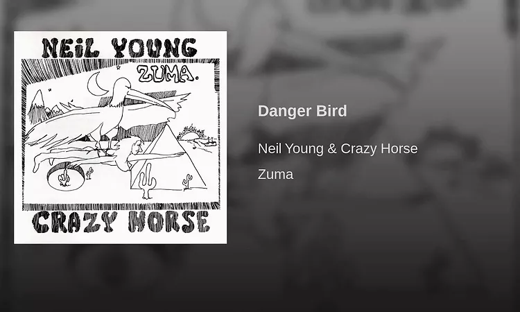 Danger Bird