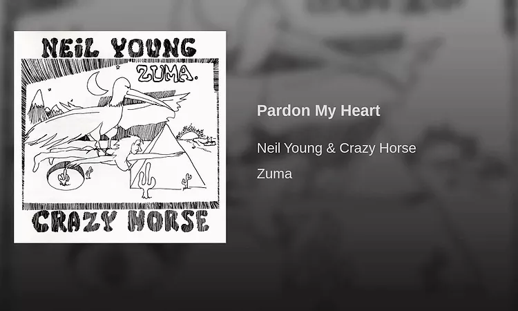 Pardon My Heart