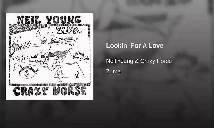 Lookin' For A Love
