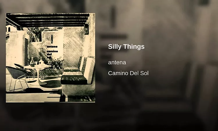 Silly Things
