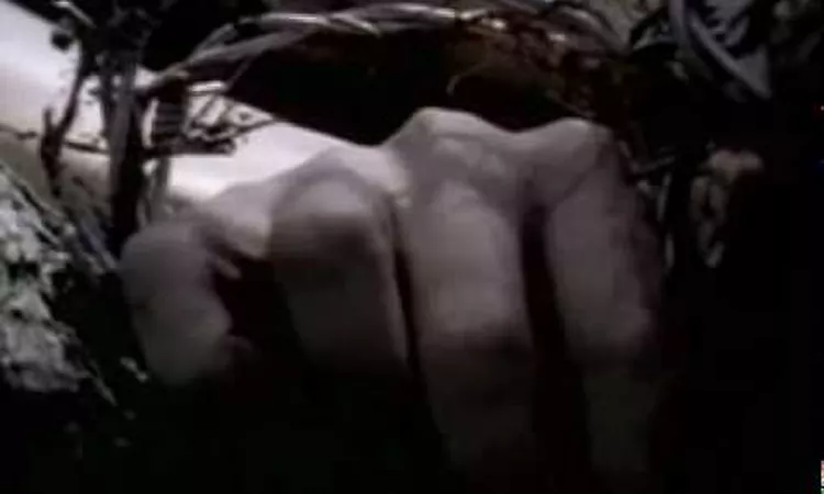 Carcass - No Love Lost