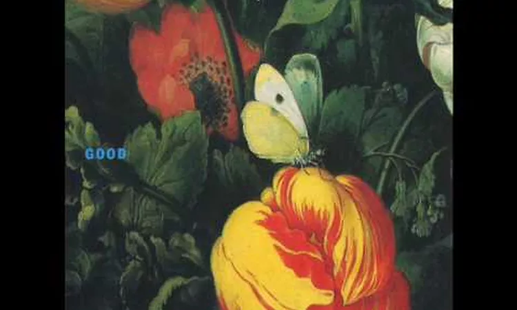 Morphine - I know you (part II) - Album Good (1992)