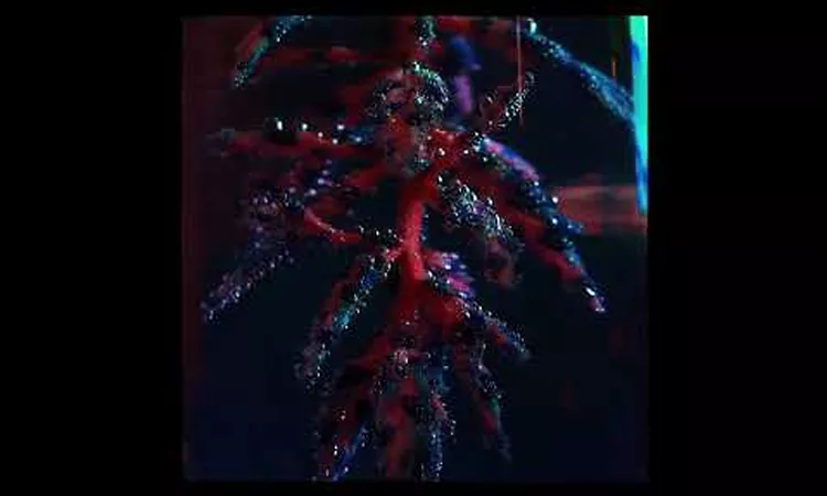 Object -  Secret Snake
