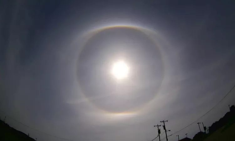 Alpha & Omega - Under contention ??