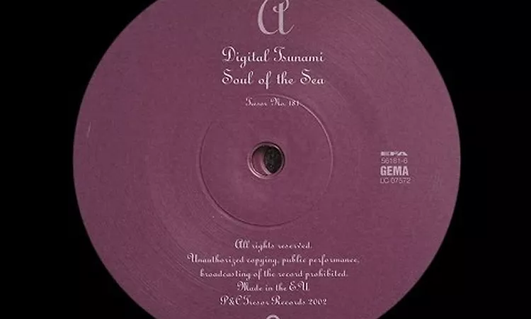 Drexciya - Digital Tsunami