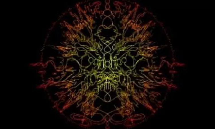 The Laughing Lights of Plenty - The Rose