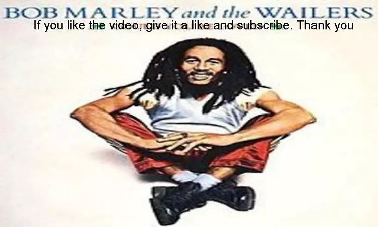 Bob Marley Could you be loved Lyrics 4k